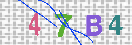 キャプチャ画像